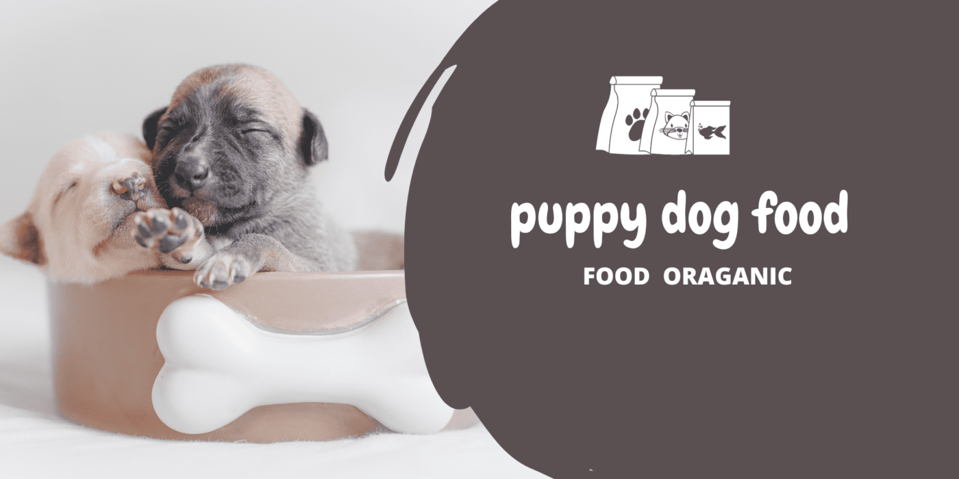 best-dog-food-for-puppies